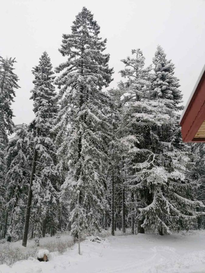Elina Hotel Pamporovo Buitenkant foto