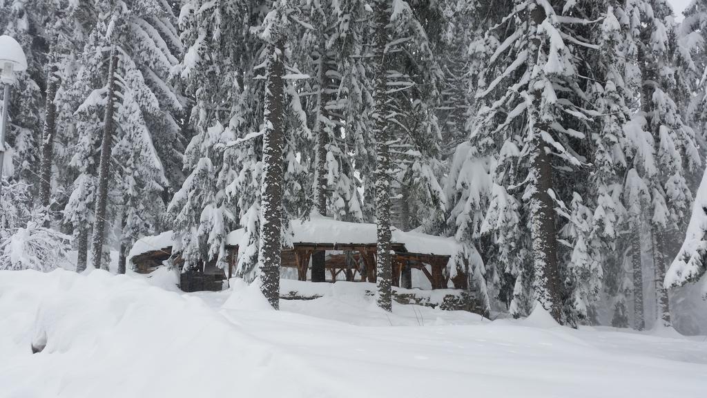 Elina Hotel Pamporovo Buitenkant foto