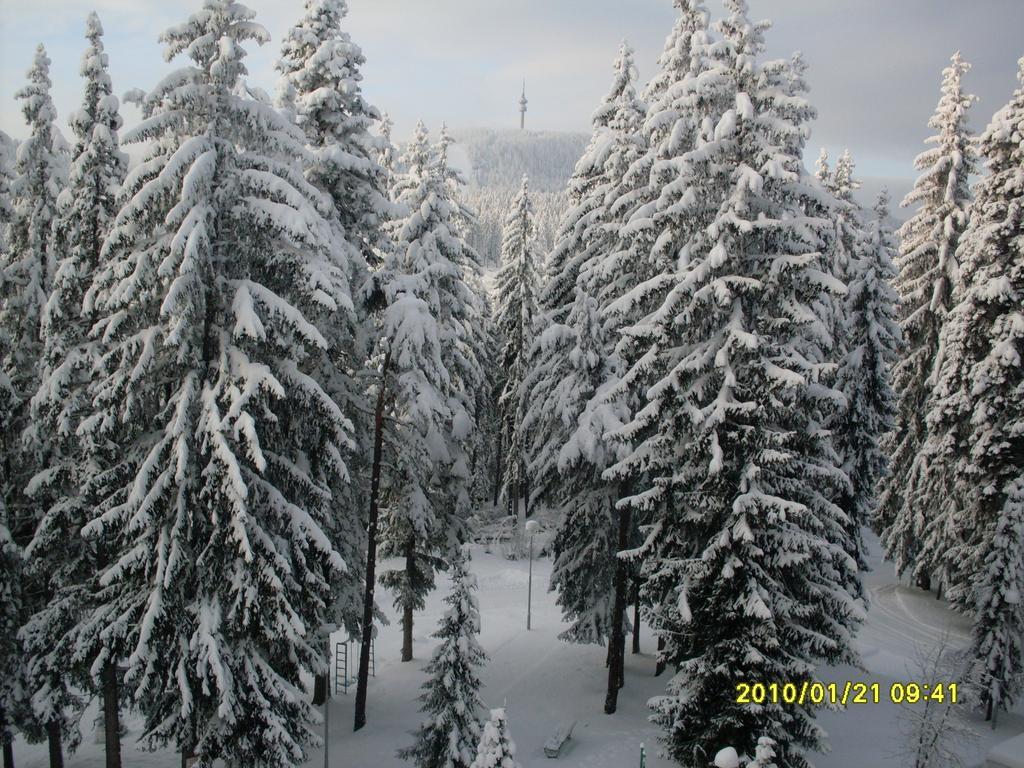 Elina Hotel Pamporovo Buitenkant foto