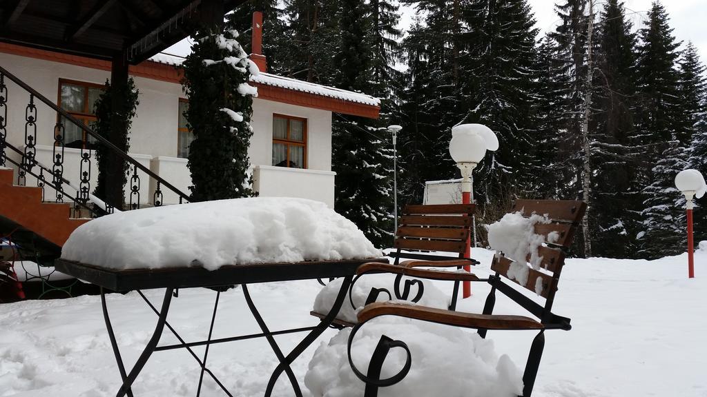 Elina Hotel Pamporovo Buitenkant foto